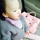 랜드로바제주