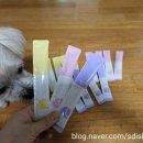간식 강아지영양식 강아지특식 ] 에브리펫 댕댕 영양스틱 급여후기 : 강아지간식추천 / 강아지에게좋은음식
