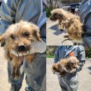 삽교천길 이미지