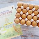 정란축산 이미지