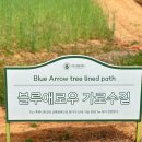 안성팜랜드 후기 입장료 할인 볼거리 5월 가볼만한곳