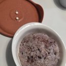 밥한끼 | 스누피 도자기 바로한끼 냉동밥 용기 내돈내산 후기 (vs바로한끼Lite)