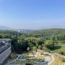 오광장맷돌순두부 | (국내여행) 2024.06.07 경주여행 2박3일 2~3일차 /경주월드 / 맷돌순두부 /포항 환여횟집