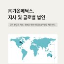 주식회사 글로벌메딕스 네이버블로그
