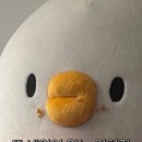 PT시작 이미지