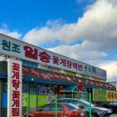 일송꽃게장백반본점 | 태안 맛집 일송꽃게장백반 본점 | 게국지와 간장게장