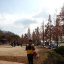시정연수원