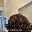 헤어(HAIR).다올 이미지