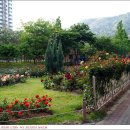 장미공원B 이미지