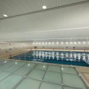 아레나 수영장 이미지