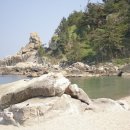 고성부부횟집 이미지