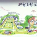 태동체육관(태권도) 이미지