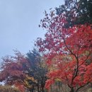 백덕산 등산로 주차장 이미지