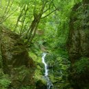 이끼 - 중구 다산로29길 30 | 이끼