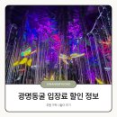 하안문화의집 생활문화창작실 | 광명동굴 입장료 할인 주차 정보까지, 주말 나들이 후기