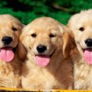 율하약국 이미지