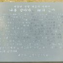 자비불교사 이미지