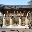 수덕사 진입로 이미지