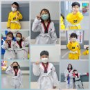 하람태권도장 이미지