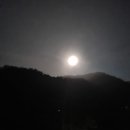 숲속의 하얀펜션 이미지