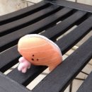 월드 E.S. 이미지