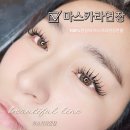 정관장신 - 북구 동문대로 128 | 양산 인생 마스카라연장 '뷰티풀라인' 추천 속눈썹 시술장인을 만나다