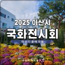 아산시농업기술센터 | 아산지중해마을 2025 아산시 국화전시회 방문 후기｜일정·셔틀·주차·체험 총정리