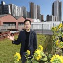 이집건축사사무소