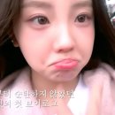 냥냥 이미지