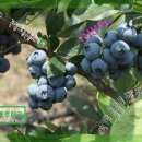 영농산업 이미지