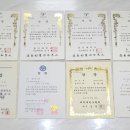 용인대엘리트태권도 이미지