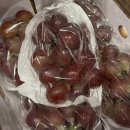 세계에서 가장 비싼 포도 루비로망 한송이에 1400만원이라는 포도계의 에르메스 후기