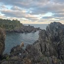 중문대포주상절리대 이미지