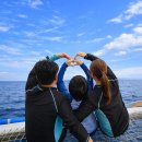 세븐일레븐 가능태양점 | 보홀 가족여행 3박 4일 : 자유여행 투어 코스 및 경비, 알로나비치 근처 맛집, 마사지샵 추천