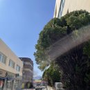 무궁화약국 이미지