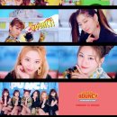 쥬리비디오 이미지