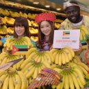 포토키모 이미지