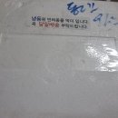 컴페니언 펫 이미지