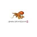포항수협중매인78번