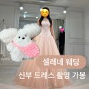 신부 촬영 드레스 셀렉 가봉 후기 | 셀레네 웨딩