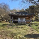 명옥헌정원1(주차장) | 자연과 선비 정신의 완벽한 조화: 담양 명옥헌 원림 (明玉軒 苑林) 탐방기