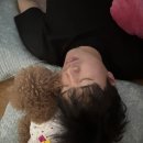 오빠가 데리러 갈 개 | 오빠 복학했어, 복학했다니깐?