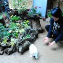 수월산방 이미지