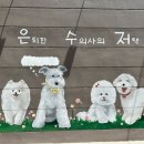 은퇴한 수의사의 저택 네이버블로그