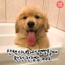 공감 이미지