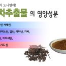 황후공차