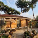 솔토락 팬션 이미지