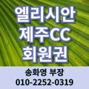 엘스위트휴양콘도미니엄 | 엘리시안 제주CC 회원권 36홀 대규모 골프장 아름다운 자연이 멋진 곳 골프, 콘도