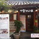 사람나무 이미지