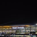 온평리에 펜션 | 3박 4일 제주도 동쪽 여행 DAY1 (김포공항, 카페픽업, 태연종합정육식당, 제주에인감귤밭카페...